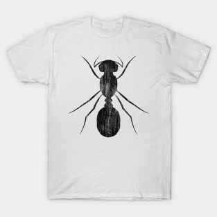 Ant T-Shirt